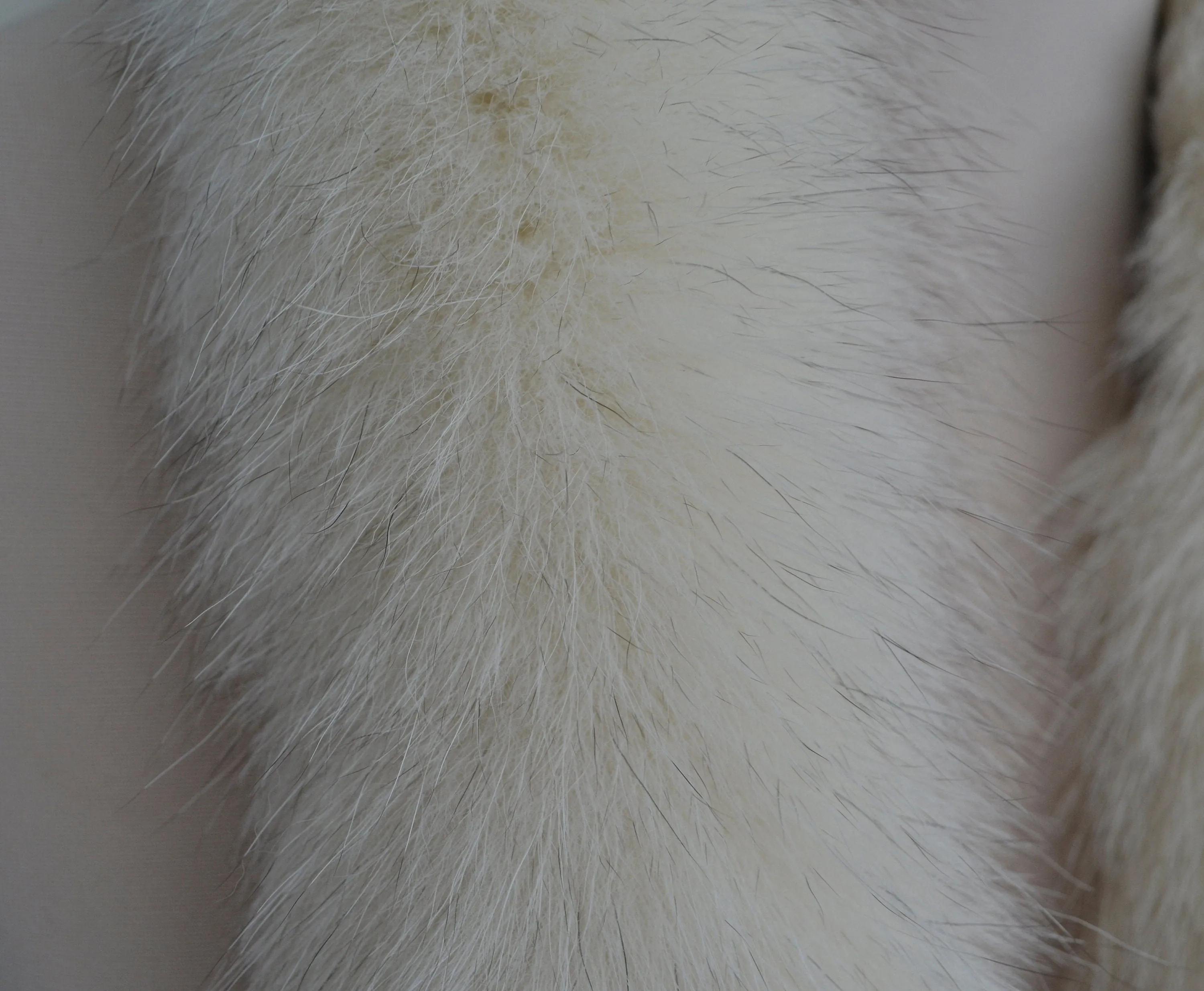 BY ORDER, Real Fox Fur (Tail) Trim Hood, Fur collar trim, Fox Fur Collar, Fur Scarf, Fur Ruff, Fur Hood, Fur stripe, Coat Trim, Ivory