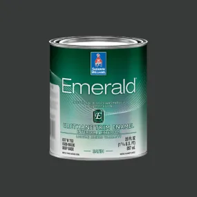 Greenblack Door Paint (1 Quart)