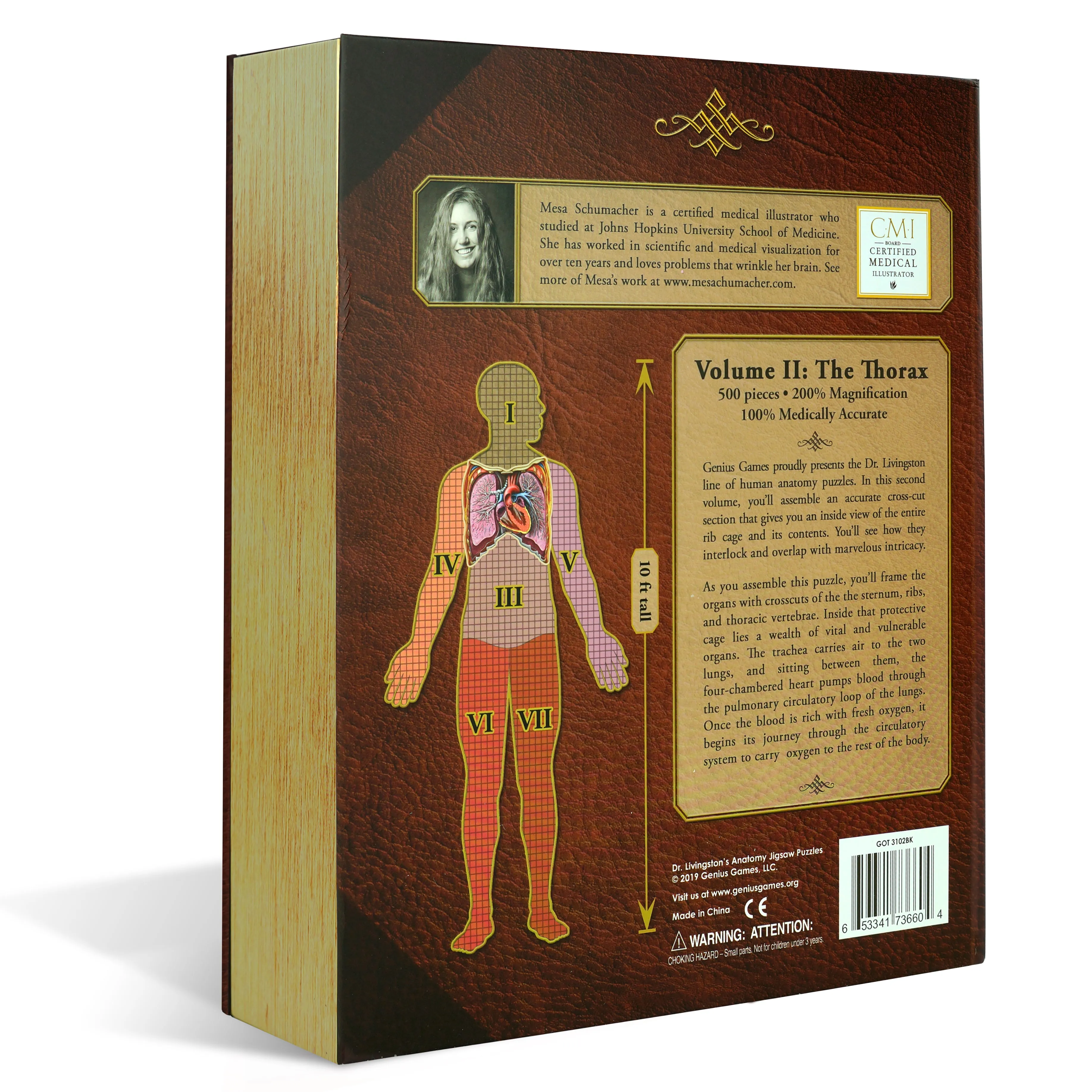 Human Thorax Anatomy Jigsaw Puzzle | Dr Livingston's Unique Shaped Science Puzzles, Accurate Medical Illustrations of the Body, Organs, Lungs and Heart