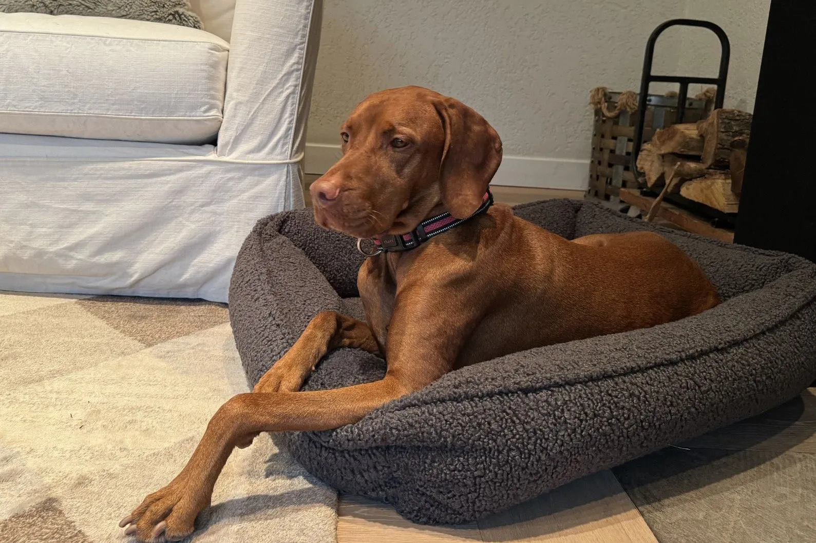 Lounger - Gray Sheepskin - Dog Bed