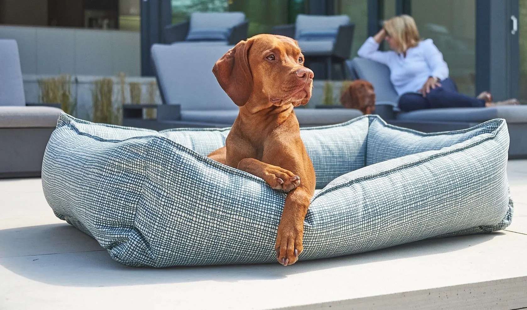 Lounger - Hampton - Dog Bed