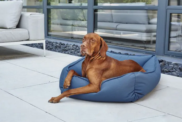 Lounger - Surfside - Dog Bed