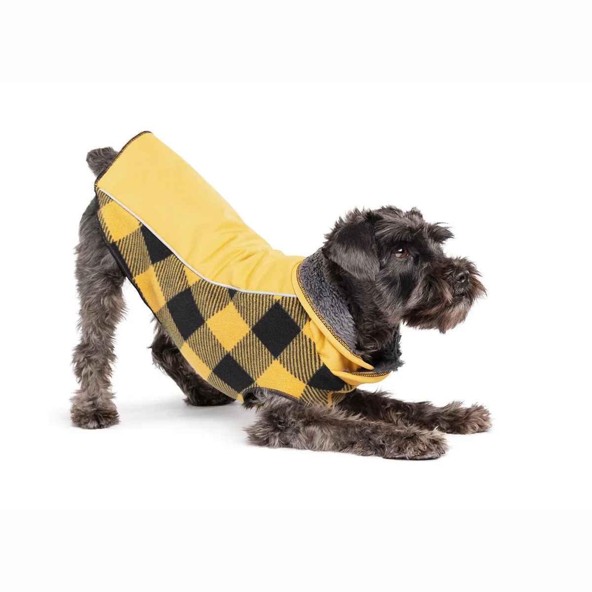 Portland Pullover Dog Coat Gold/Buffalo Plaid